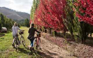 Girls_with_bicycles