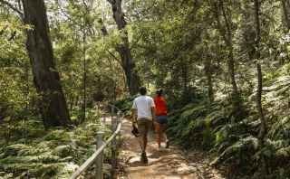 Port Stephens walk