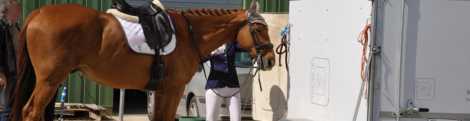 Horse standing outside a horse float